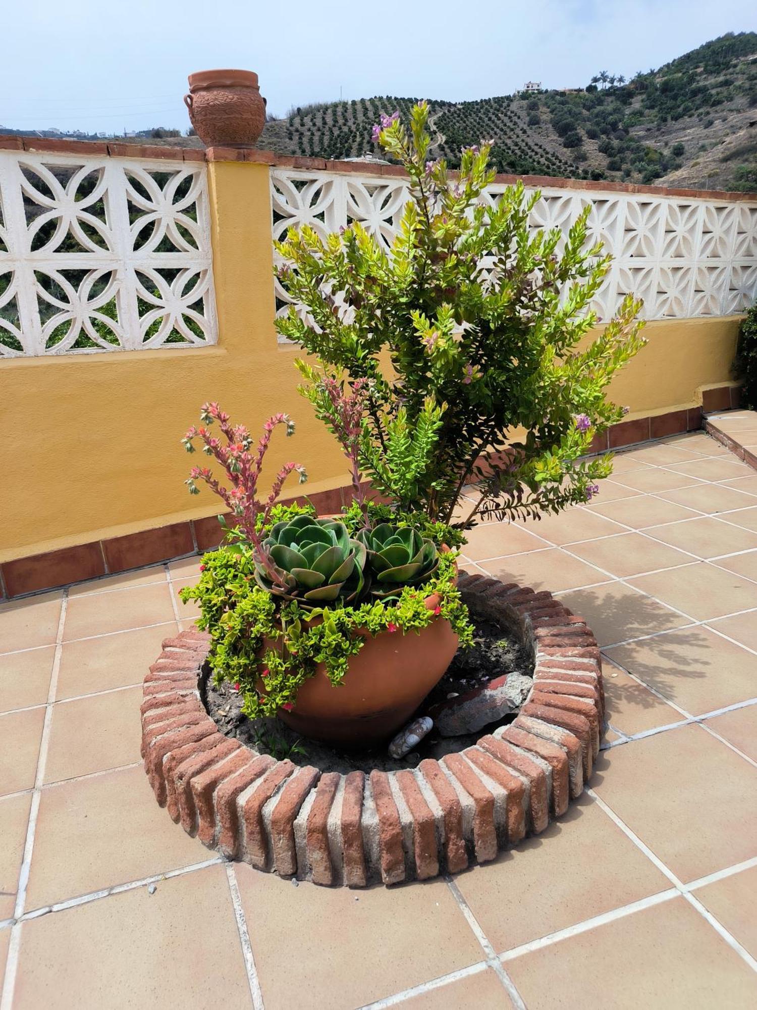 Cortijo Maria Gomez Villa Малага Екстериор снимка